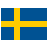 Swedish to English translation software