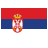 Serbian to English translation software